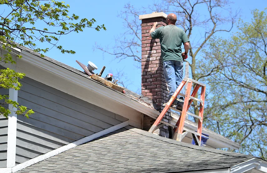 Chimney & Fireplace Inspections Services in Tukwila, WA